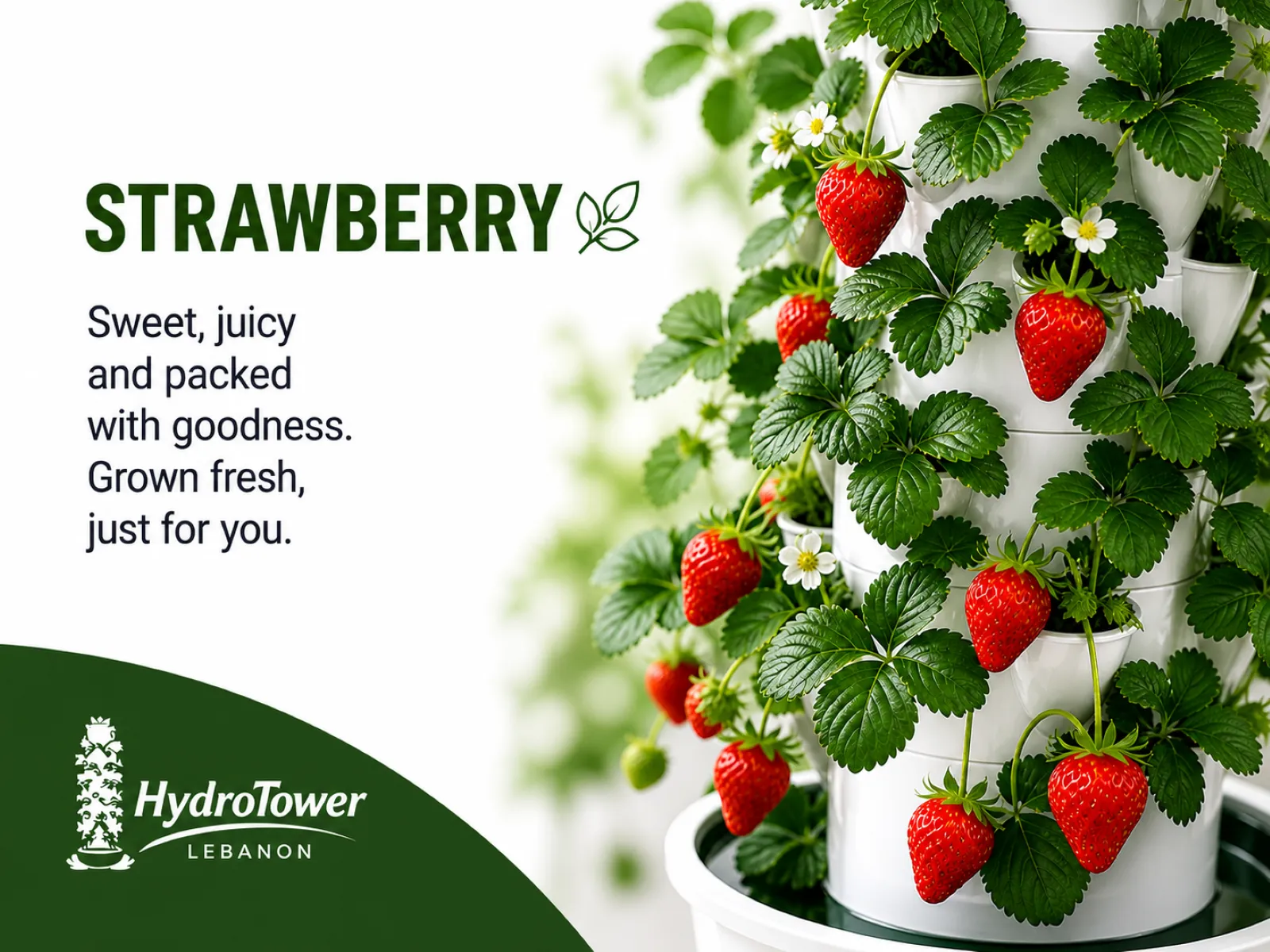 Ripe strawberries growing on the HydroTower